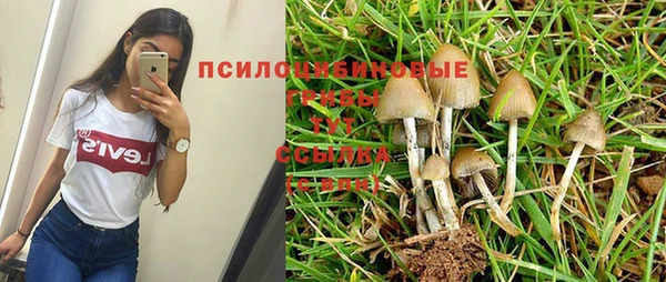 каннабис Алексеевка
