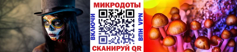 Галлюциногенные грибы MAGIC MUSHROOMS  наркота  Межгорье 